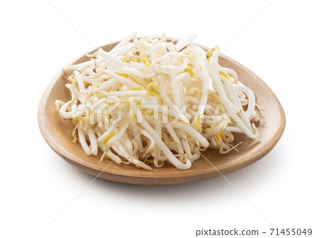 豆芽 71455049
