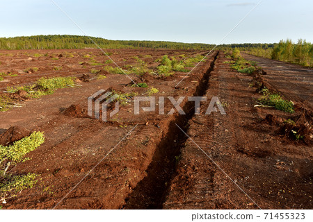 Drainage ditch in the peat extraction site.  71455323