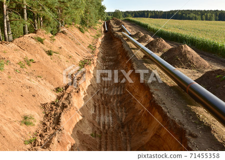 Natural gas pipeline construction work in forest area.  71455358