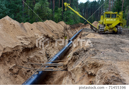 Natural gas pipeline construction work in forest area. 71455396
