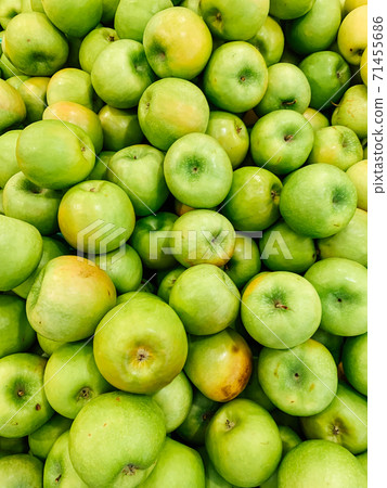 lots of ripe fruit sweet apples for cooking as a background 71455686