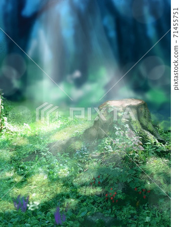 Beautiful landscape paintings with Western-style gardens, stumps and sunbeams in the summer 71455751