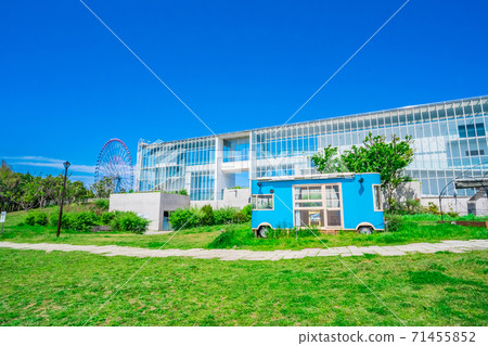 東京葛西海濱公園廣場，摩天輪和淺藍色旅行車 71455852