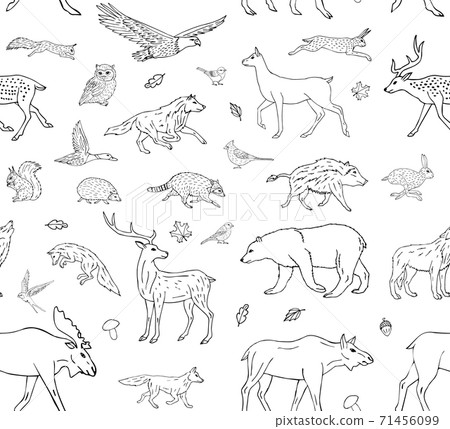 Vector seamless pattern of wild forest animals - Stock Illustration ...