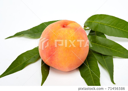 Peaches, fruits, 71456386