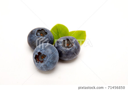Blueberry, fruit, 71456850