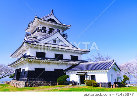 Tateyama Tateyama Castle Shiroyama Park [Tateyama City, Chiba Prefecture] 71456877