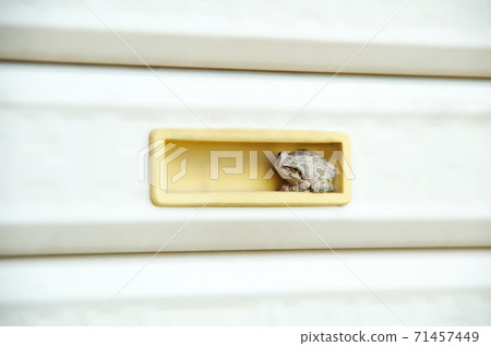 回到同一個舒適的百葉窗手柄的凹陷處是日常工作 71457449