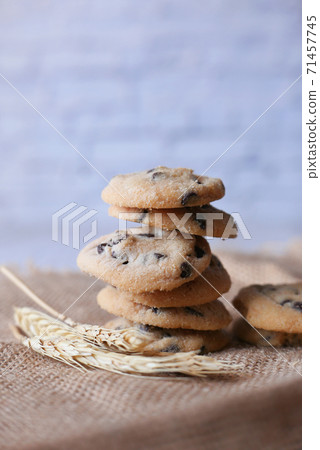 stack of chocolate cookies on white background stack of chocolate cookies on white background 71457745