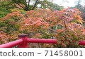 被楓花園治愈 71458001
