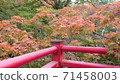 楓花園紅色欄杆 71458003