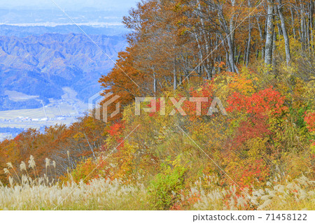 Hakkaisan Ropeway Autumn Leaves Hakkaisan Ropeway Autumn Leaves 71458122
