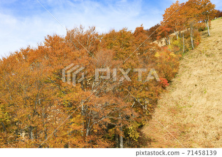 客家山索道秋葉之靜美 71458139