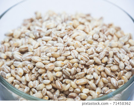 Close up of Unhulled barley in transparent glass cup Close up of Unhulled barley in transparent glass cup 71458362