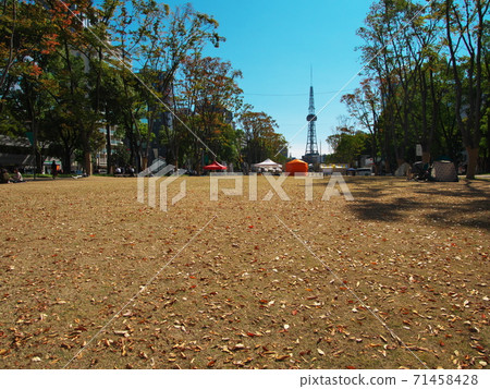 Renewed Hisaya Odori Park, a large lawn plaza with fallen leaves 71458428
