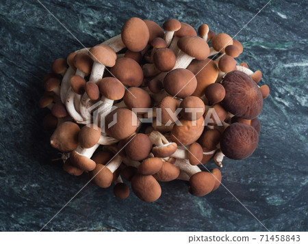 Poplar mushrooms Pholiota aegerita or pioppini 71458843