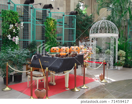 名古屋久屋大通花園室內室內萬聖節鋼琴 71459417