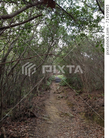 孤獨的道路 孤獨的道路 71459903