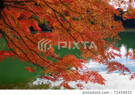 稻aga湖（山梨縣南稻In湖，南阿爾卑斯山） 71459935