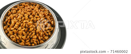 Dry dog treats in bowl isolated on white. Wide photo. Free space for text. 71460002
