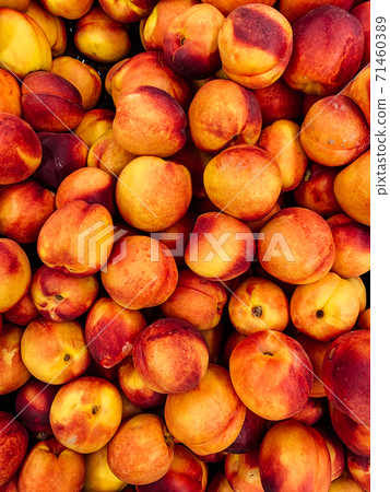 lots of ripe sweet peaches for eating as a background 71460389