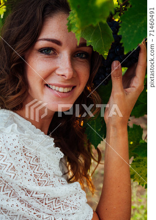 Beautiful fashionable woman in dress collects grapes in vineyards Beautiful fashionable woman in dress collects grapes in vineyards 71460491