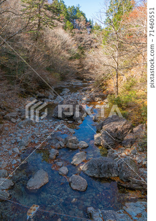 鹽卡拉谷(小田原山) 鹽卡拉谷(小田原山) 71460551