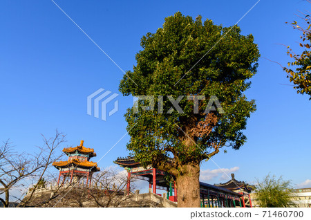 Ariake no Sato Shisui Confucius Park 2020 Beautiful sunset scenery Beautiful sky and Confucius Park Japan Kikuchi City, Kumamoto Prefecture Ariake no Sato Shisui Confucius Park 2020 Beautiful sunset scenery Beautiful sky and Confucius Park Japan Kikuchi City, Kumamoto Prefecture 71460700