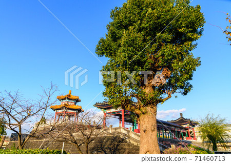 有明之裡那須那水孔子公園2020美麗的夕陽風光美麗的天空和孔子公園日本熊本縣菊池市 有明之裡那須那水孔子公園2020美麗的夕陽風光美麗的天空和孔子公園日本熊本縣菊池市 71460713