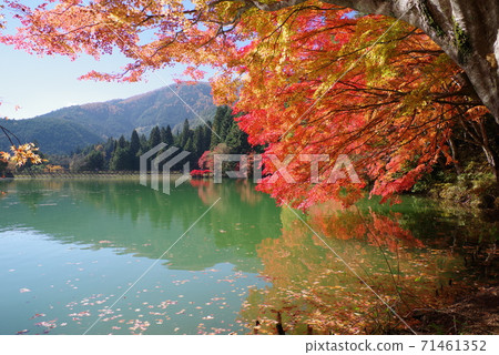 Lake Inaga (Minami Inaga Lake, Yamanashi Prefecture, Minami Alps City) Lake Inaga (Minami Inaga Lake, Yamanashi Prefecture, Minami Alps City) 71461352