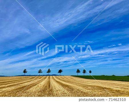 藍天和童話山 71462310