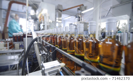 Glass bottles filled with brandy move along conveyor line in modern distillery for bottling alcoholic beverages. Working conveyor machine at factory for production of alcohol 71462370