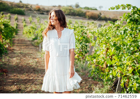 Beautiful fashionable woman in a dress in a field of vineyards collects grapes Beautiful fashionable woman in a dress in a field of vineyards collects grapes 71462559