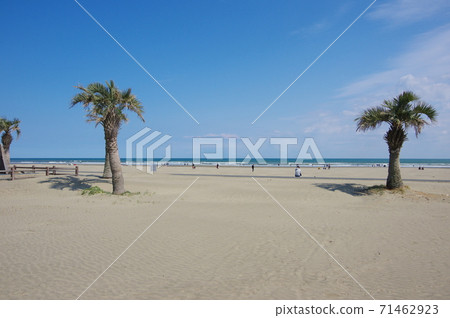 Kujukuri Beach / Motosuka Beach (Sammu City, Chiba Prefecture) 71462923