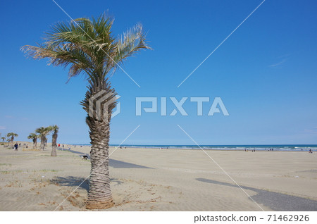 Kujukuri Beach / Motosuka Beach (Sammu City, Chiba Prefecture) Kujukuri Beach / Motosuka Beach (Sammu City, Chiba Prefecture) 71462926