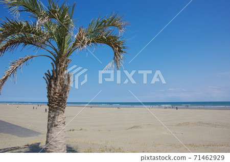 Kujukuri Beach / Motosuka Beach (Sammu City, Chiba Prefecture) 71462929