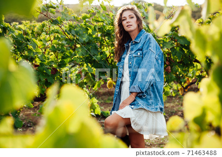Beautiful fashionable woman in denim jacket and dress in a field of vineyards Beautiful fashionable woman in denim jacket and dress in a field of vineyards 71463488