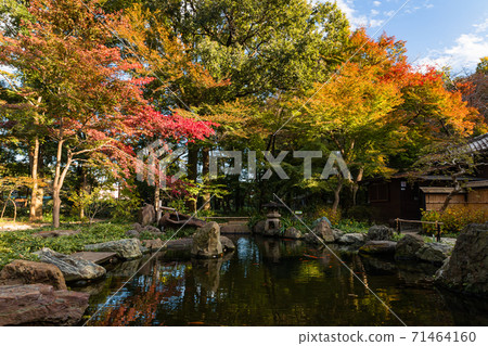 新紮森林裡的秋葉/睡屋 71464160