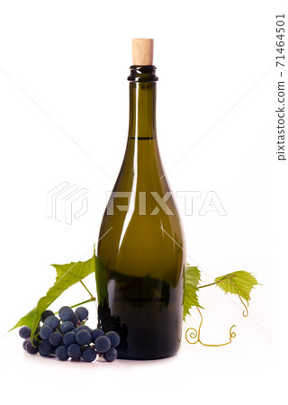 A bottle dark glass grape branch leaves A bottle dark glass grape branch leaves 71464501