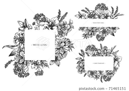 Floral frames with black and white anemone, lavender, rosemary everlasting, phalaenopsis, lily, iris Floral frames with black and white anemone, lavender, rosemary everlasting, phalaenopsis, lily, iris 71465151