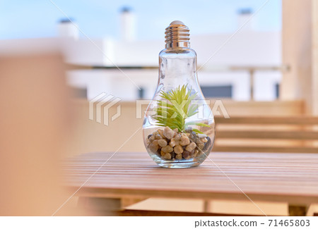 Transparent light bulb glass vase 71465803