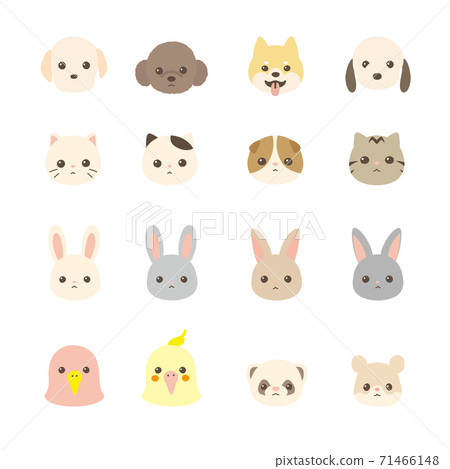 Pet animal face icon set dogs, cats, rabbits, small animals 71466148
