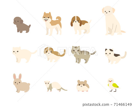 Pet animal vector illustration set dogs, cats, rabbits, small animals 71466149