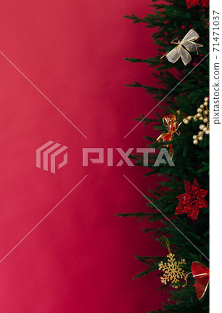 Christmas banner with Christmas tree. Christmas concept with copy space, place for text 71471037