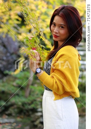 Autumn leaves of Okuboji 71471878