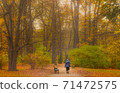 秋天的公園 71472575