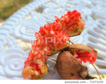 爆石榴石榴水果秋季素材背景 71473295