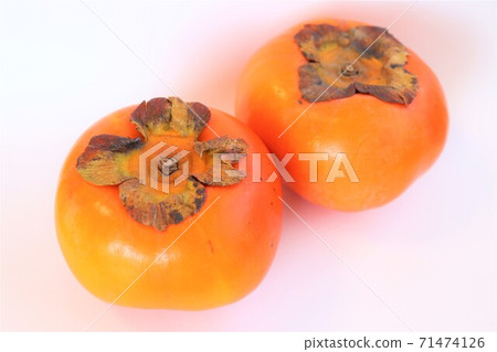 persimmon persimmon 71474126