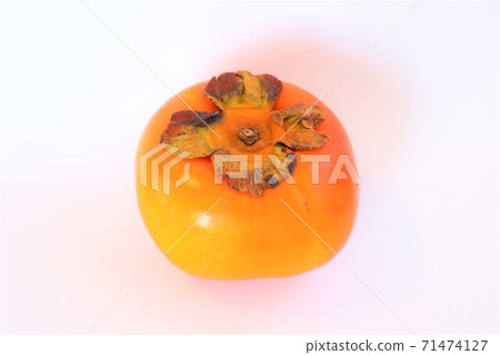 persimmon 71474127