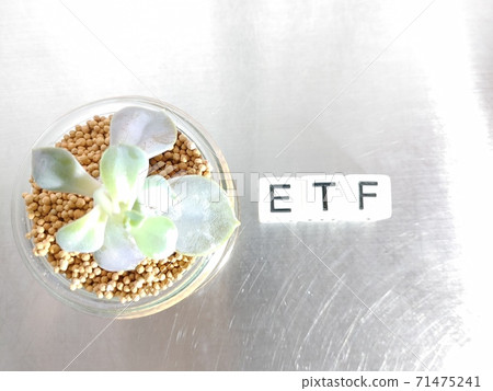 Dice letters and plants lined up with ETFs in bright light 4 71475241